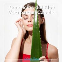 Beneficios del Aloe Vera para el Cabello