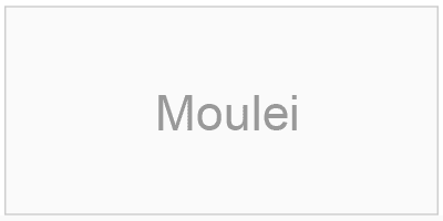 mejores productos de moulei
