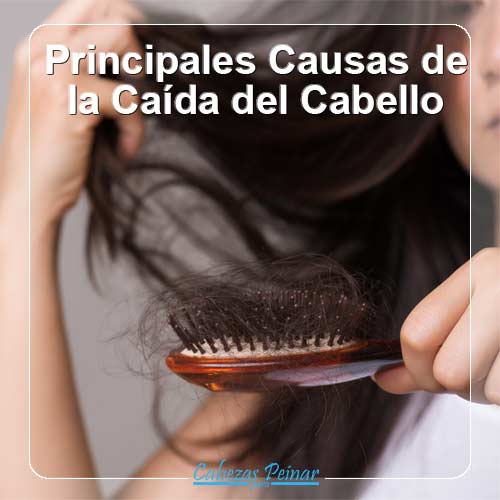 PRINCIPALES CAUSAS DE LA CAIDA DEL CABELLO